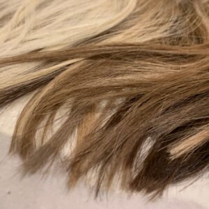 Premium Haarverlängerungen – Luxuriöse Qualität für einen eleganten Look